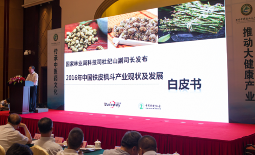 石斛排行榜_平远客家炒绿和平远石斛上榜2021年第二批全国名特优新农产品名录(2)