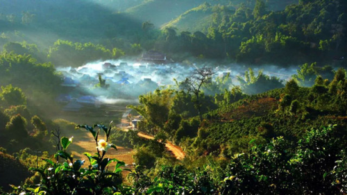 第十届勐海(国际)茶王节将于9月28日开幕