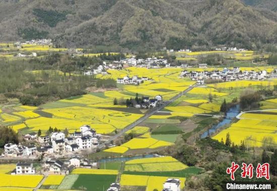 安徽黟县柯村“皖南红色第一村”风光图。　陈辉　摄