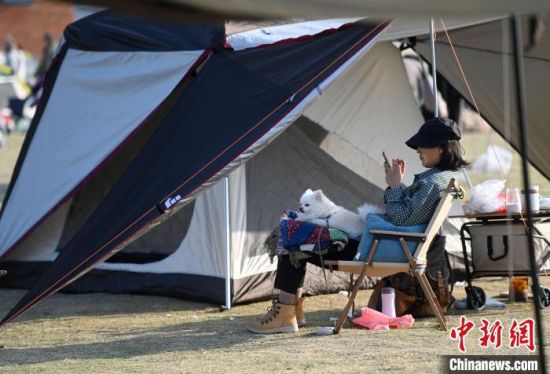 市民在帐篷旁休闲，享受秋日暖阳。　韩苏原 摄
