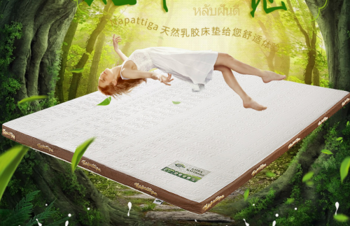 如何选择一款真正可以改善睡眠的泰国乳胶枕呢