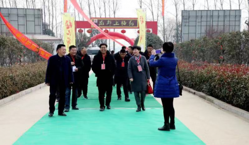 2019中国周口梅花文化旅游节盛大开幕